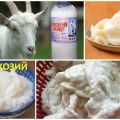 Medicinal properties and contraindications of goat fat, how to use it correctly
