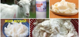 Propiedades medicinales y contraindicaciones de la grasa de cabra, cómo usarla correctamente.