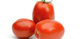 Beskrivelse av sorten tomat Slivovka og dens egenskaper
