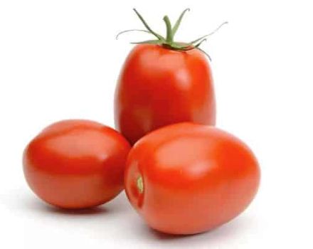 Pomidorų Slivovka veislės aprašymas ir jo savybės