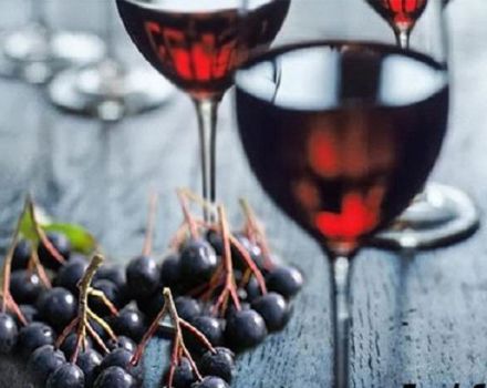 7 enkle trin-for-trin-opskrifter til at lave chokeberry-vin derhjemme