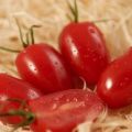 Karakteristike i opis sorte rajčice Dame prsti, njen prinos