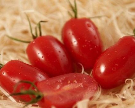 Eigenschaften und Beschreibung der Tomatensorte Damenfinger, deren Ertrag
