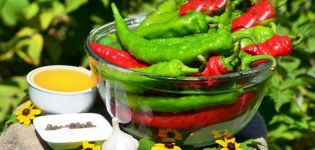 TOP 14 simple recipes for making pickled chili peppers for the winter