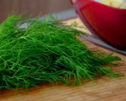 How best to keep dill fresh at home for the winter