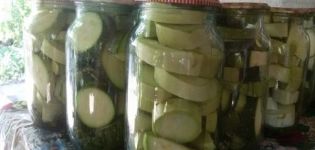 TOP 5 Schritt-für-Schritt-Rezepte für eingelegte Zucchini wie in der UdSSR
