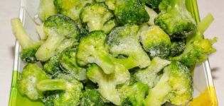 10 suosituinta reseptiä siitä, miten parsakaali jäädytetään talveksi kotona keittämällä ja ilman keittämistä