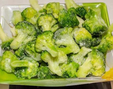 Ang top 10 na mga recipe sa kung paano i-freeze ang broccoli para sa taglamig sa bahay na may at walang kumukulo