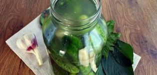 TOP 6 recipes for making pickled cucumbers with horseradish for the winter