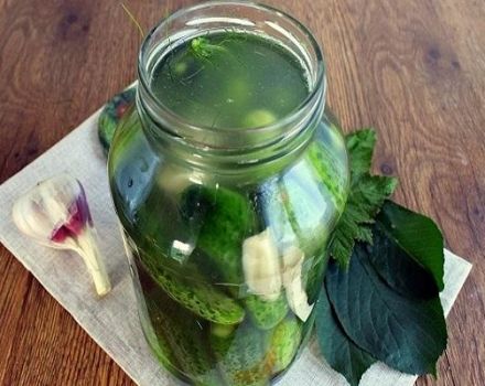 TOP 6 recepten voor het maken van ingelegde komkommers met mierikswortel voor de winter