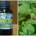 Properties, preparation and use of tar from the Colorado potato beetle in the garden