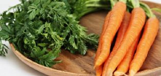 4 mejores recetas paso a paso para cosechar zanahorias para el invierno