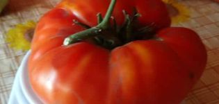 Mareşal Pobeda domates çeşidinin tanımı ve verimi