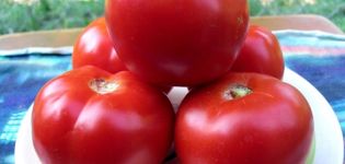 Pomidorų veislės Red Guard savybės ir aprašymas, derlius