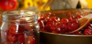 Jednostavan recept za prozirni džem od ranetki s repom za zimu