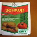 Instrucciones para el uso de la droga Zenkor contra las malas hierbas en las patatas.