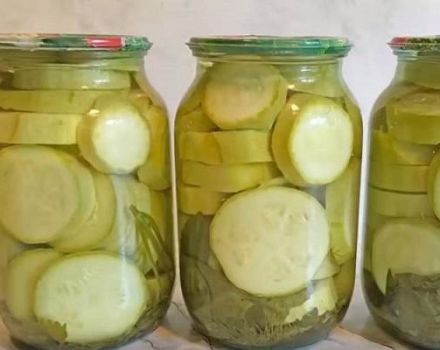 Schritt-für-Schritt-Rezept für die Zubereitung von marinierter Zucchini mit Butter für den Winter