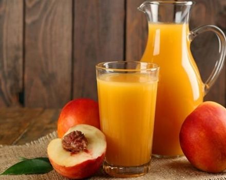 Ang isang simpleng recipe para sa peach juice para sa taglamig sa bahay