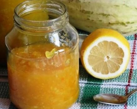 TOP 10 jednoduchých receptov na výrobu čerešňového slivkového džemu na zimu