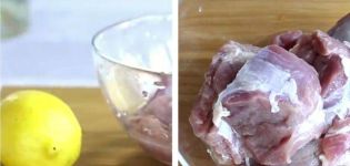Hvordan kan du fjerne lugten af ​​gedekød fra kød, og hvordan man kan stikke det, så det ikke lugter