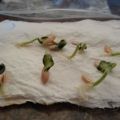 Cómo germinar rápida y correctamente las semillas de pepino antes de plantar y si es necesario