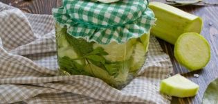 Recipes for marinating zucchini with dill for the winter you will lick your fingers