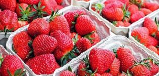 Paano maayos na mag-imbak ng mga strawberry sa bahay para sa taglamig