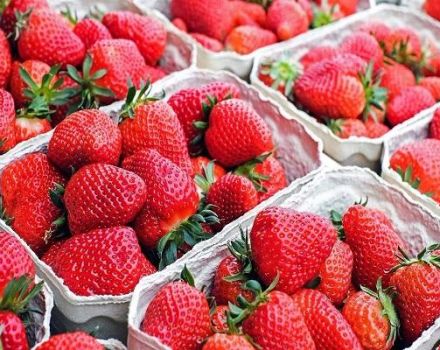 Πώς να αποθηκεύσετε σωστά τις φράουλες στο σπίτι για το χειμώνα