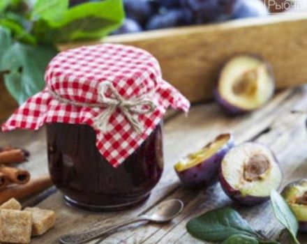TOP 24 de rețete simple pentru gem de prune fără semințe acasă