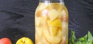 TOP 5 einfache und köstliche Rezepte für die Herstellung von Bananen-Kompott für den Winter