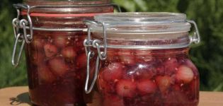 8 easy recipes for delicious red gooseberry jam for the winter