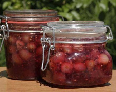 8 madaling mga recipe para sa masarap na pulang gooseberry jam para sa taglamig