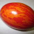 Đặc điểm và mô tả của giống cà chua Easter Egg