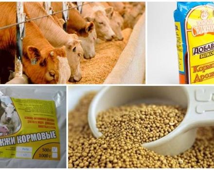 Composició química i instruccions per a l’ús de llevat de pinsos per al bestiar