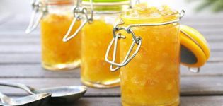 7 mga sunud-sunod na mga recipe para sa marrow at apple jam para sa taglamig