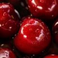 Description and pollinators of the sweet cherry variety Yaroslavna, planting and care
