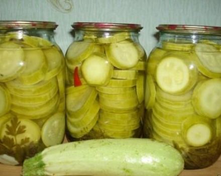 Sofortige Rezepte für knusprig gesalzene Zucchini in 5 Minuten