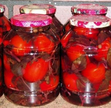 Ricette per marinare i pomodori con basilico per l'inverno