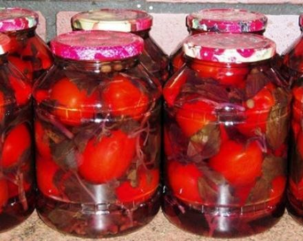 Opskrifter til pickling af tomater med basilikum til vinteren