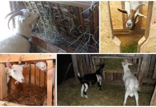 Types of goat feeders and how to do it yourself, instructions and drawings