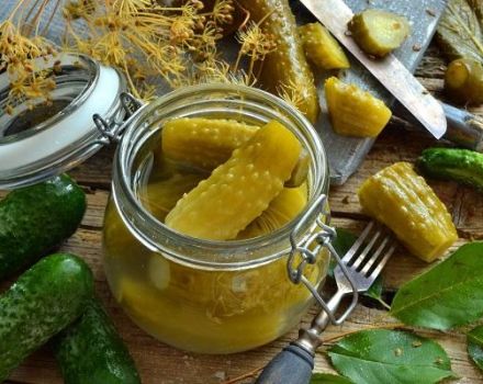 6 chutných receptov na chrumkavé nakladané uhorky v nádobách na zimu