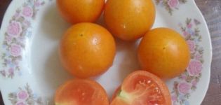 Popis odrůdy rajčat Zlatov, její vlastnosti a pěstování