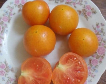 Descripción de la variedad de tomate Zlatov, sus características y cultivo.