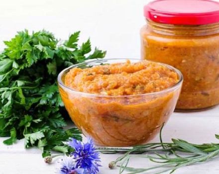 21 besten Rezepte zum Kochen von Kürbiskaviar für den Winter zu Hause