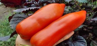 Pomidorų veislės „Uncle Stepa“ aprašymas ir jos savybės