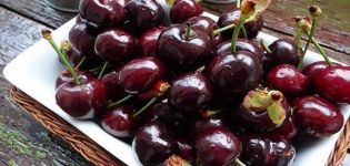 Description and characteristics of the Dyber cherry variety, planting and care