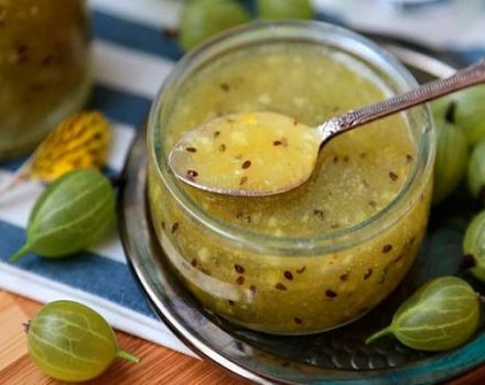 11 best step-by-step gooseberry sauce recipes for the winter