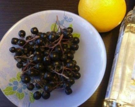 5 receptai, kaip gaminti aronijos uogienę su apelsinu