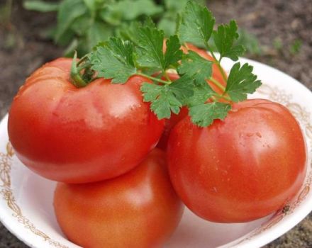 Kenmerken en beschrijving van de tomatenvariëteit Polbig, de opbrengst