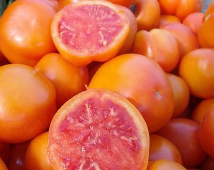 Eigenschaften und Beschreibung der Sorte der Tomaten-Grapefruit